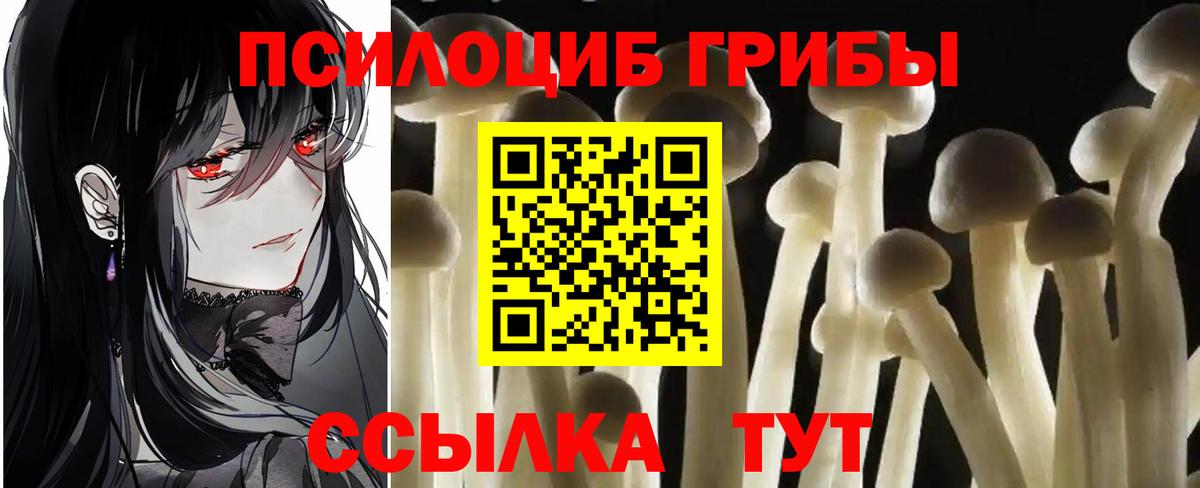 Галлюциногенные грибы Magic Shrooms  Вход с VPN  Тейково 